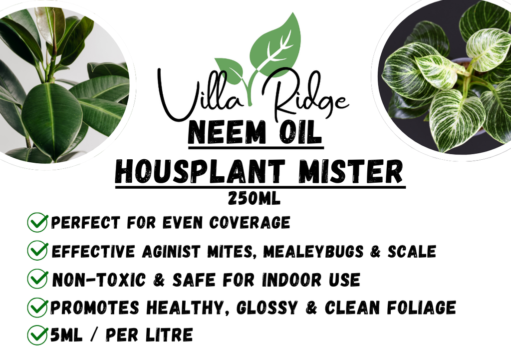 Neem Oil House Plant Mister