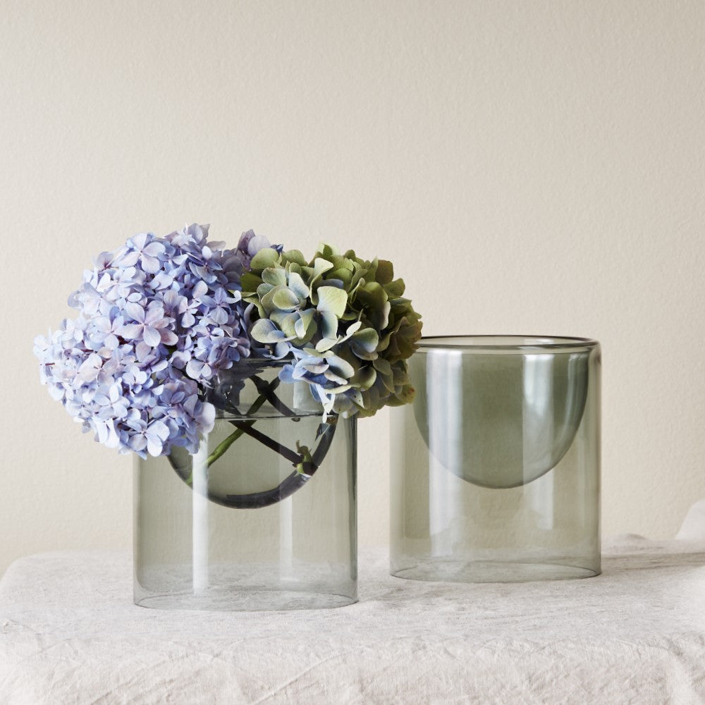 Ivy Muse Lumen