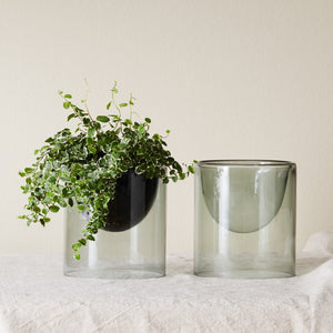Ivy Muse Lumen