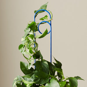 Ivy Muse Loop Plant Stake