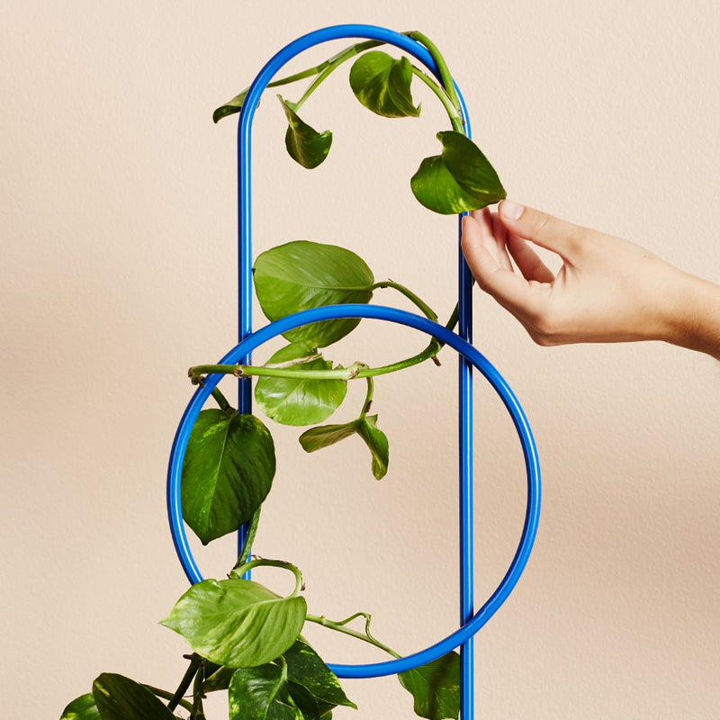 Ivy Muse Dot Plant Stake